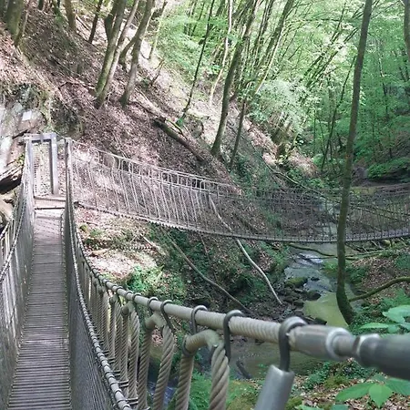 Ella Am Eifelsteig Апартаменты